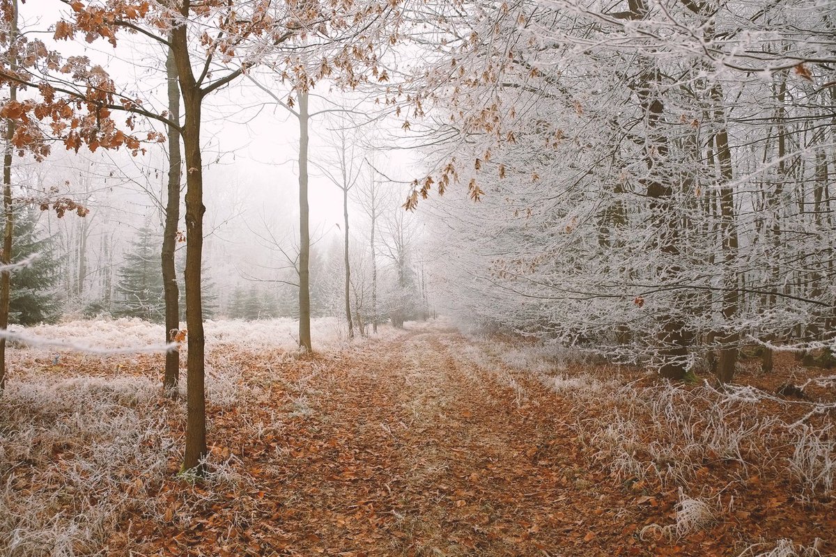 • WINTERWANDELING + WINTERSE [WILD]BARBECUE
De winter is van start en heeft u binnenkort iets te vieren? Of wilt u gewoon een dag optimaal genieten met uw vrienden en/of familie?

Wat dacht u van...   facebook.com/www.demof.nl/p…

#leusden #dentreek #winterwandeling #winterbbq
