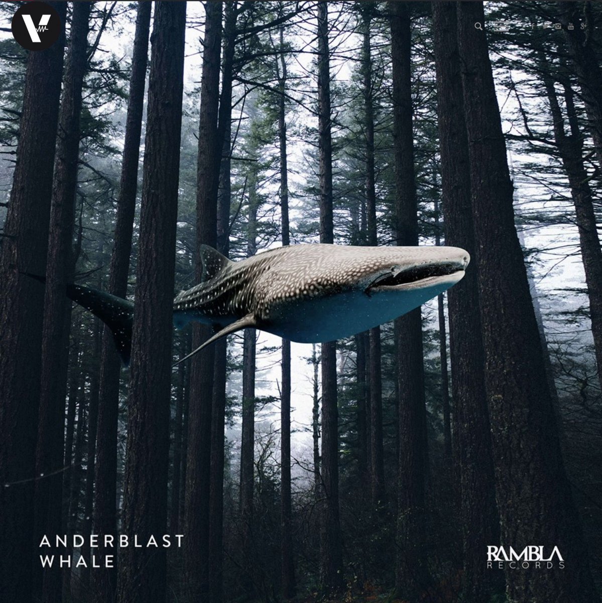 Viralbpm's tweet photo. Italian duo @ANDERBLASTdjs make a leap to their career, as they have established their own imprint @ramblarecords with the label’s first ever release titled “#Whale”. https://t.co/6T9yoWfRvr https://t.co/WuTXEEq6fm