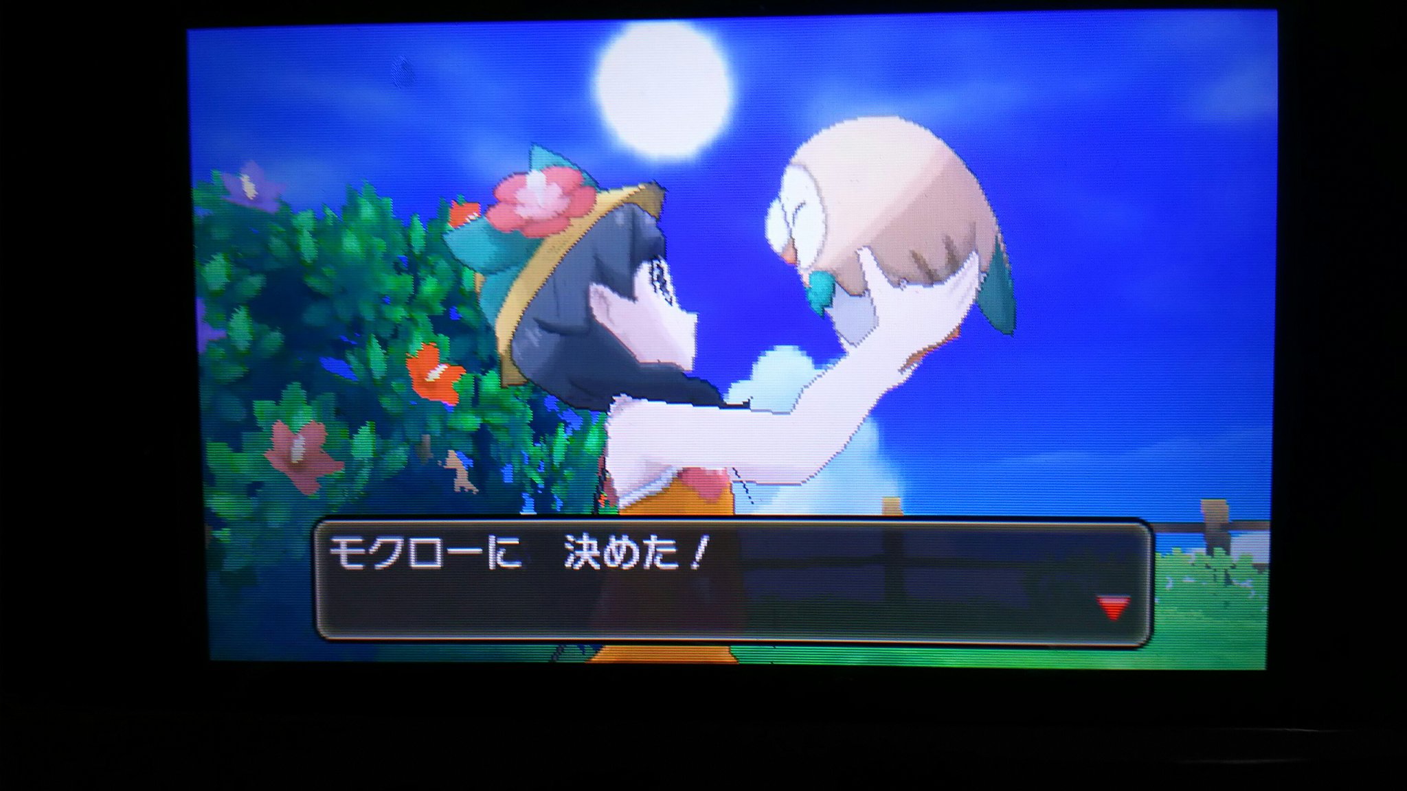 めんま 縛りプレイが終わったら何が始まるかって 縛りプレイだよ ポケモンus始めました 選択御三家と同タイプ統一パ ポケモン重複禁止 瀕死は永遠の死 学習装置禁止 バトルシステム かちぬき 採用 現実世界にリセットなんてありません
