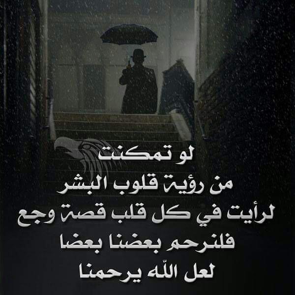 23345__ tweet picture