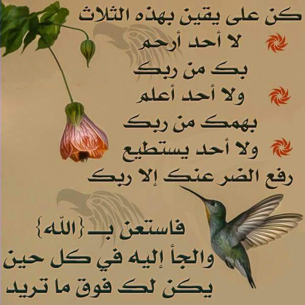 23345__ tweet picture