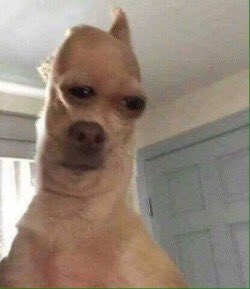 beyonseh's tweet photo. my two brain cells looking at each other after waking up this morning trying to figure that out wtf is going on https://t.co/bVzqoIivq1