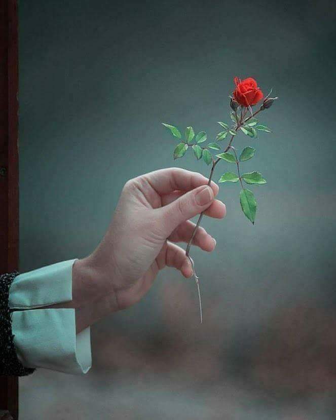 عـمـاد العجيلـي tweet media