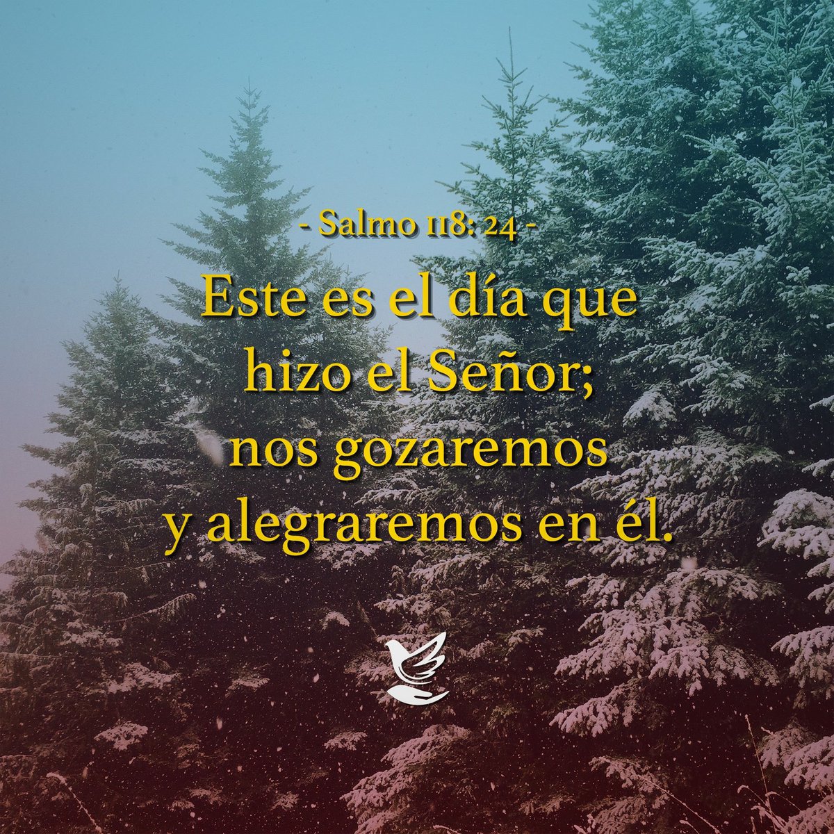 miiglesiausa's tweet photo. Este es el día que hizo el Señor; nos gozaremos y alegraremos en Él... Salmo 118:24
#amor #love #gozarnos #alegrarnos #miiglesia https://t.co/474PdAgxrA