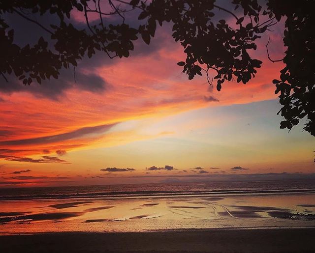 RawBotanicals's tweet photo. Great #sunset by our #simplicityplan partner @daystarproperties #jaco https://t.co/GqomveehgF