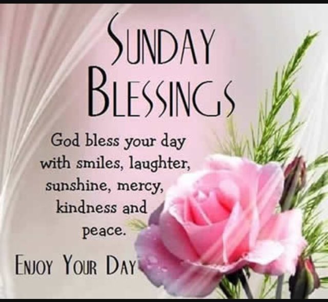 NYPDPEA (@nypdpea) on Twitter photo 