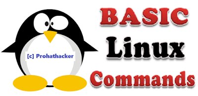 8118anand's tweet image. Linux Basic Commands #prohathacker #Linux_Commands #linux #hackingpress #Linux_tutorial dlvr.it/Q47H8x