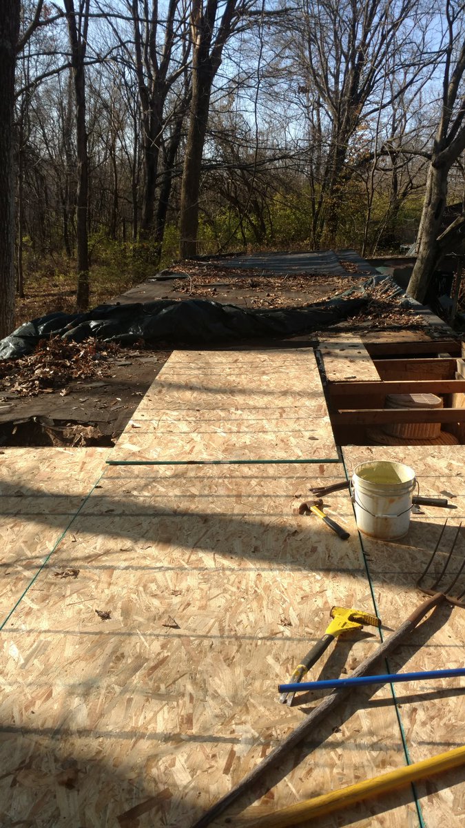 AmyCarter_NR's tweet photo. Putting a new roof on my parents shed this weekend. Beautiful weather and nice view from up here. #weekendworriors https://t.co/ZJ56sf9JDu