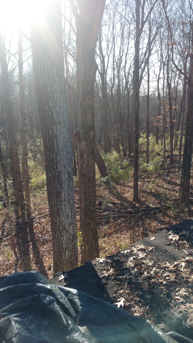 AmyCarter_NR's tweet photo. Putting a new roof on my parents shed this weekend. Beautiful weather and nice view from up here. #weekendworriors https://t.co/ZJ56sf9JDu