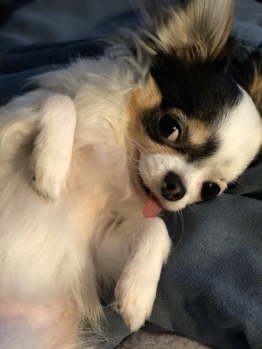 Sunday’s are for sleeping. Whose with me!