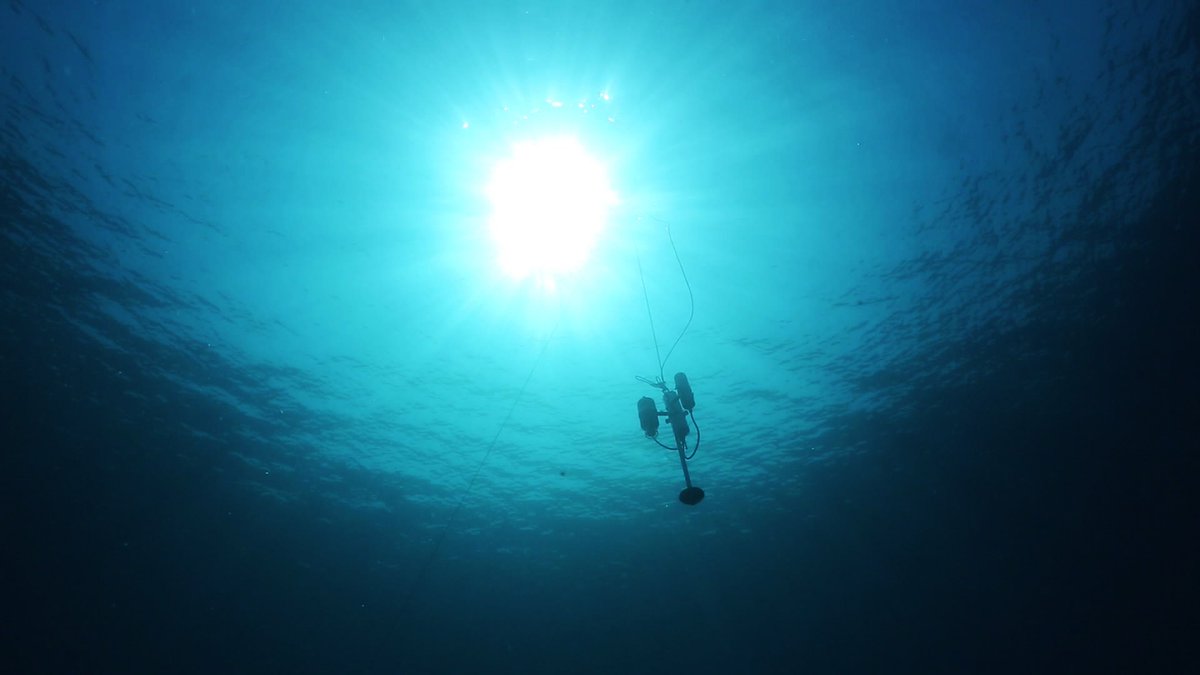 reportingMerola's tweet photo. L' #IoT #underwater sarà protagonista @tedxfoggia  grazie a Chiara Petrioli, docente @SapienzaRoma, leader di #Wsense e una delle #100esperte italiane. Il #futuro è oggi #ilmondocambialuomoresta @RicercaSapienza @laurgob @IoT_italy #InternetOfThings https://t.co/QDW6UOZa6T