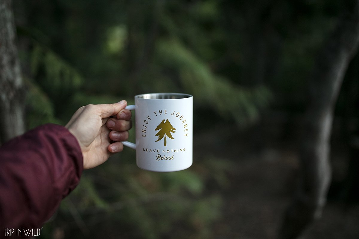 Trip in Wild tweet media