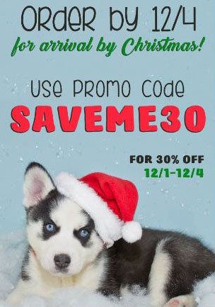 Yeeee 30% OFF on #pridebite bit.ly/pridebites_ysd