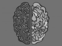 RadiologyACR's tweet image. Just the beginning: 6 applications for machine learning in radiology beyond image interpretation #JACR via @radiologybiz ow.ly/yEHQ30gXaQP