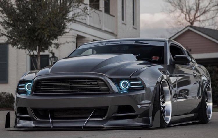 Bagged S197