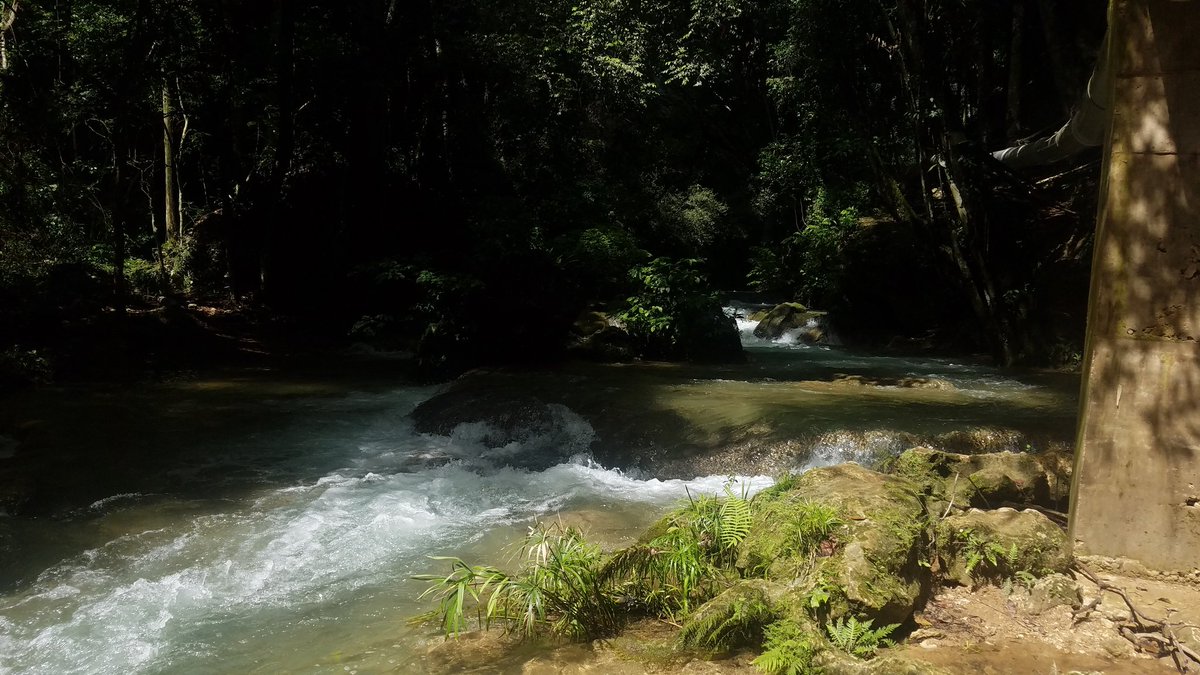 EricDiazL's tweet photo. Río  Mulito en Pedernales #AndariegoDo https://t.co/N4gzAYFoKj