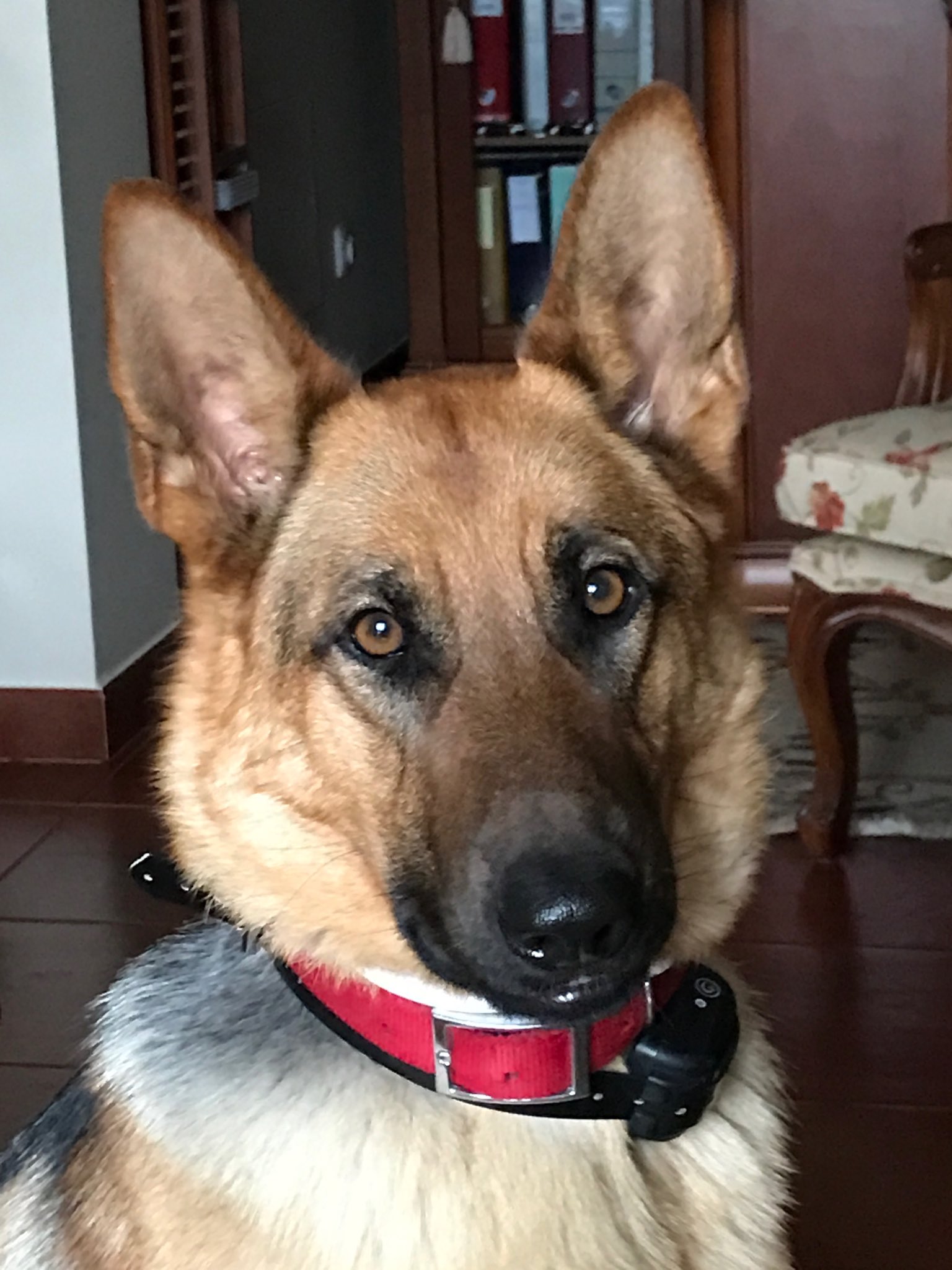 xxxx vvvvv on X: She's my best friend 🐶 t.coYhFIueO6GS  X