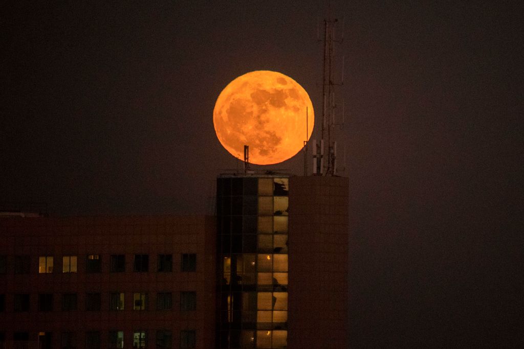 CNNEE's tweet photo. La #Superluna ya se observa en algunos países: te decimos cómo tomar las mejores fotos para preservar este momento por siempre

https://t.co/CyITq6xDC3 https://t.co/LpakdfIoe1