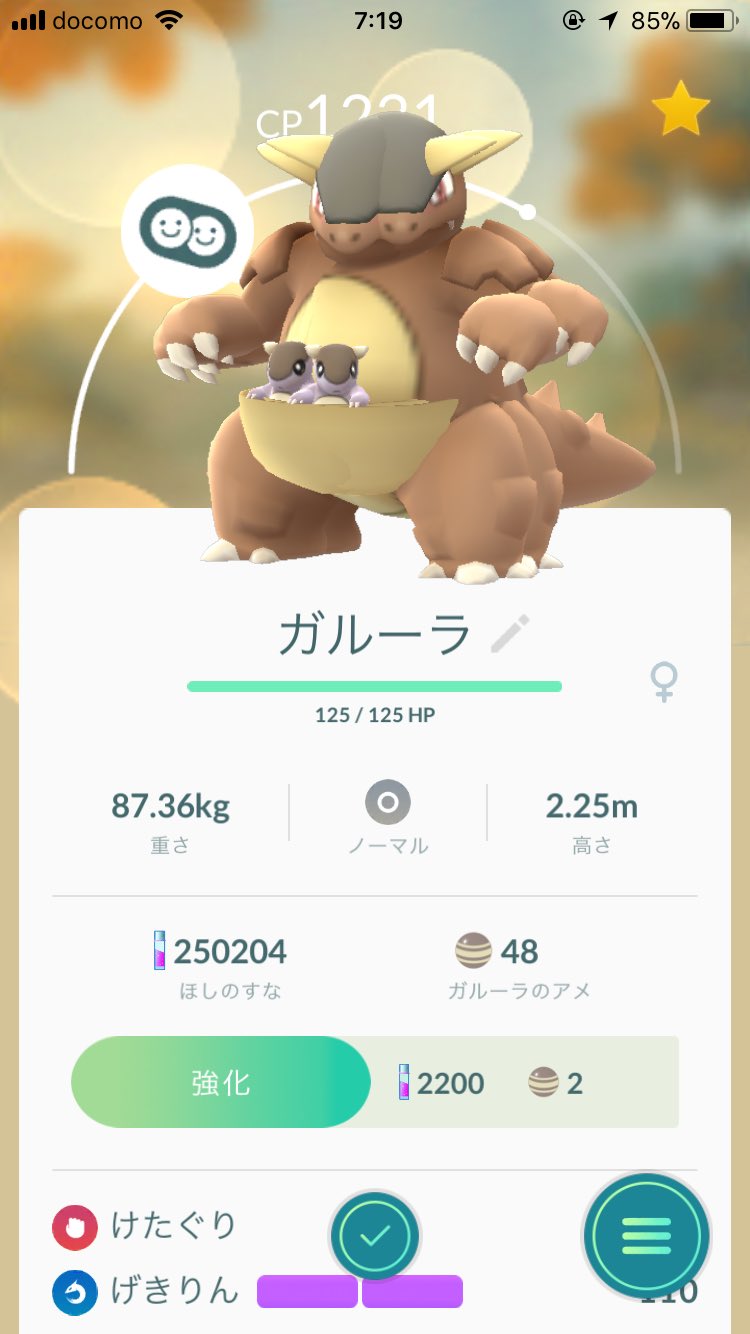 Czo Pa Twitter ポケモンgo ガルーラの顔が割れるバグ おはようございます T Co Vcz3uwzogr Twitter