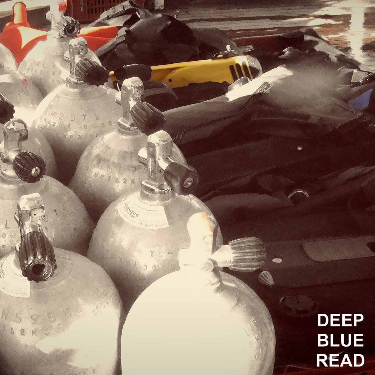 DeepBlueRead's tweet image. Κατάδυση χωρίς εξοπλισμό δεν γίνεται! Μάθε πως συντηρούμε τον εξοπλισμό μας στο goo.gl/kuKtbq #DeepBlueRead #article #scubadiving #diving #cyprus #sea