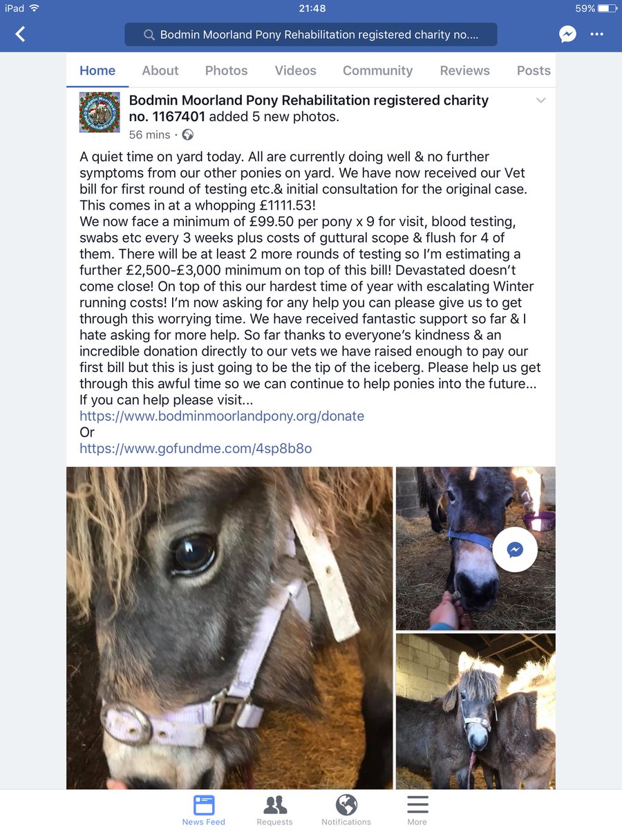 DartmoorPonies's tweet photo. Dartmoor Hill Ponies have been given sanctuary at this Cornish Rehabilitation Centre, and now the charity needs help itself. They would hugely appreciate any and all donations to get through this nightmare time 😨😨🐴💕 https://t.co/XK7WgmS4wQ