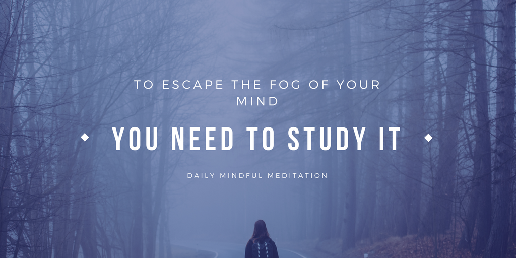 dailymindfulm's tweet photo. https://t.co/fpXzZuxqzb