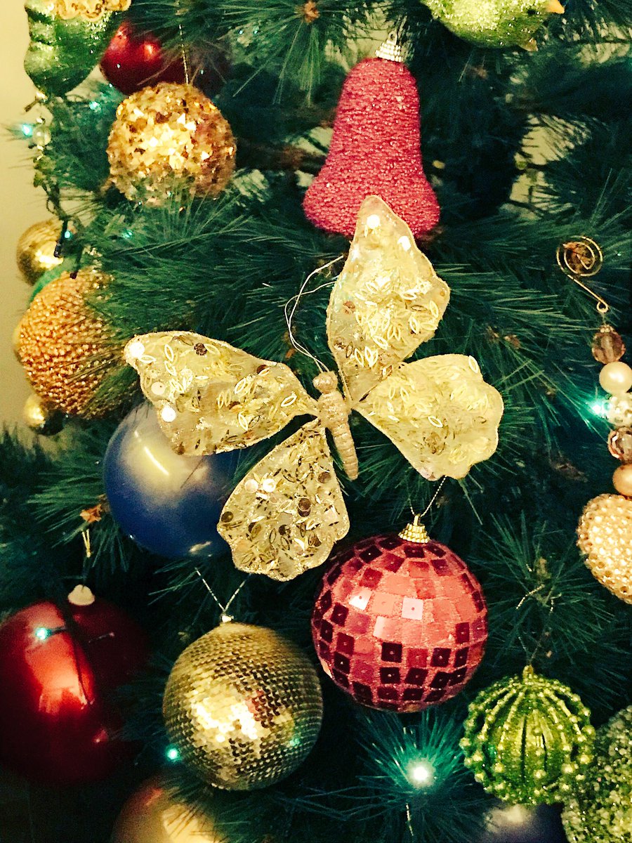 wardelkhalonset's tweet photo. Christmas at mom’s ..😀
Hello to all my butterflies 🙋🏻 https://t.co/uS6l64R4yr