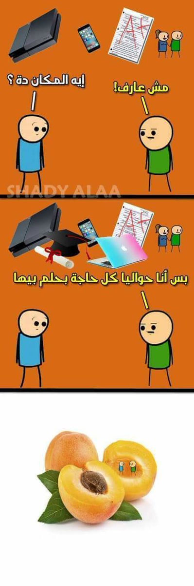 kemo_madridista's tweet photo. فى المشمش. https://t.co/NKK3ToOwTO