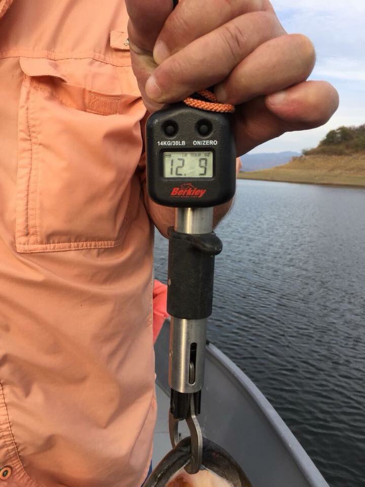 Trapper02's tweet photo. Papa E back in Mexico! At Lake Baccarac breaking his PB with 12-9!!! @gthol @BassUniversity @BASS_nation  #Baccarac Best Mexican Bass Lake #Bass #Fishing #BrokenRecords https://t.co/b5kvzFVoZ5