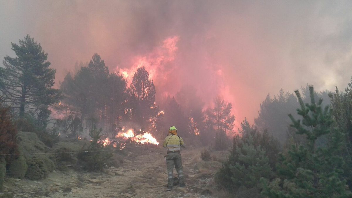 GobAragon's tweet photo. El #IFTorreLaRibera ha afectado hasta el momento a unas 50 ha de matorral y arbolado en una zona de difícil acceso y no amenaza peligro para ninguna población. Mañana se espera controlarlo si amaina el viento. #IIFF @IIFFAragon #Ribagorza https://t.co/WJ7U1vgDbe https://t.co/dKIE9zuiDS