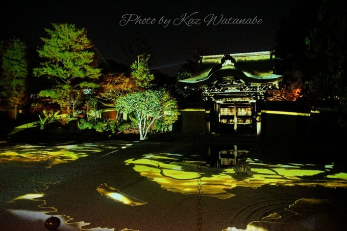 19年京都の紅葉ライトアップ 神秘的な青い星がまたたく日本庭園 青蓮院門跡 Kyotopi キョウトピ 京都観光情報 旅行 グルメ