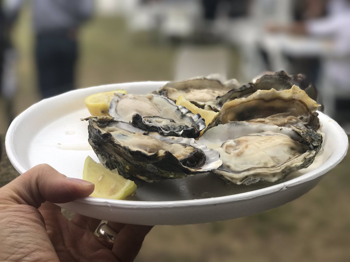 Mariette dT-Helmbold tweet media