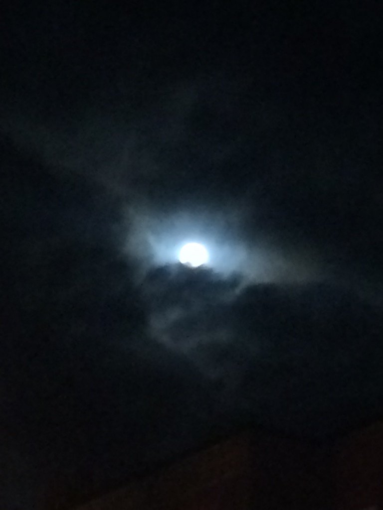 GraphicdesignHS's tweet photo. #moon is huge tonight! https://t.co/ImxWrKbvK2