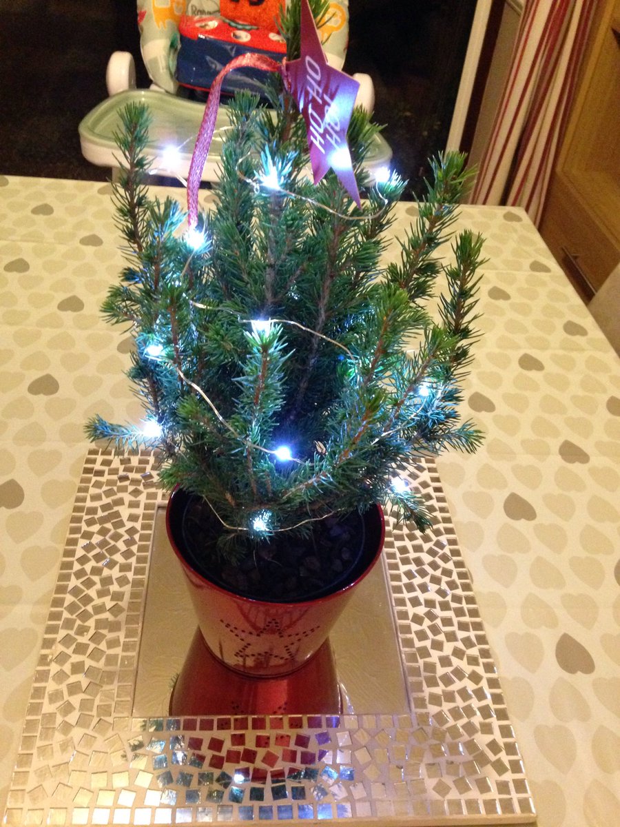 nathyc1972's tweet image. It's a start.....right?! #TableTree #PerfectlyFormed #RoomTreeStillToBePurchased