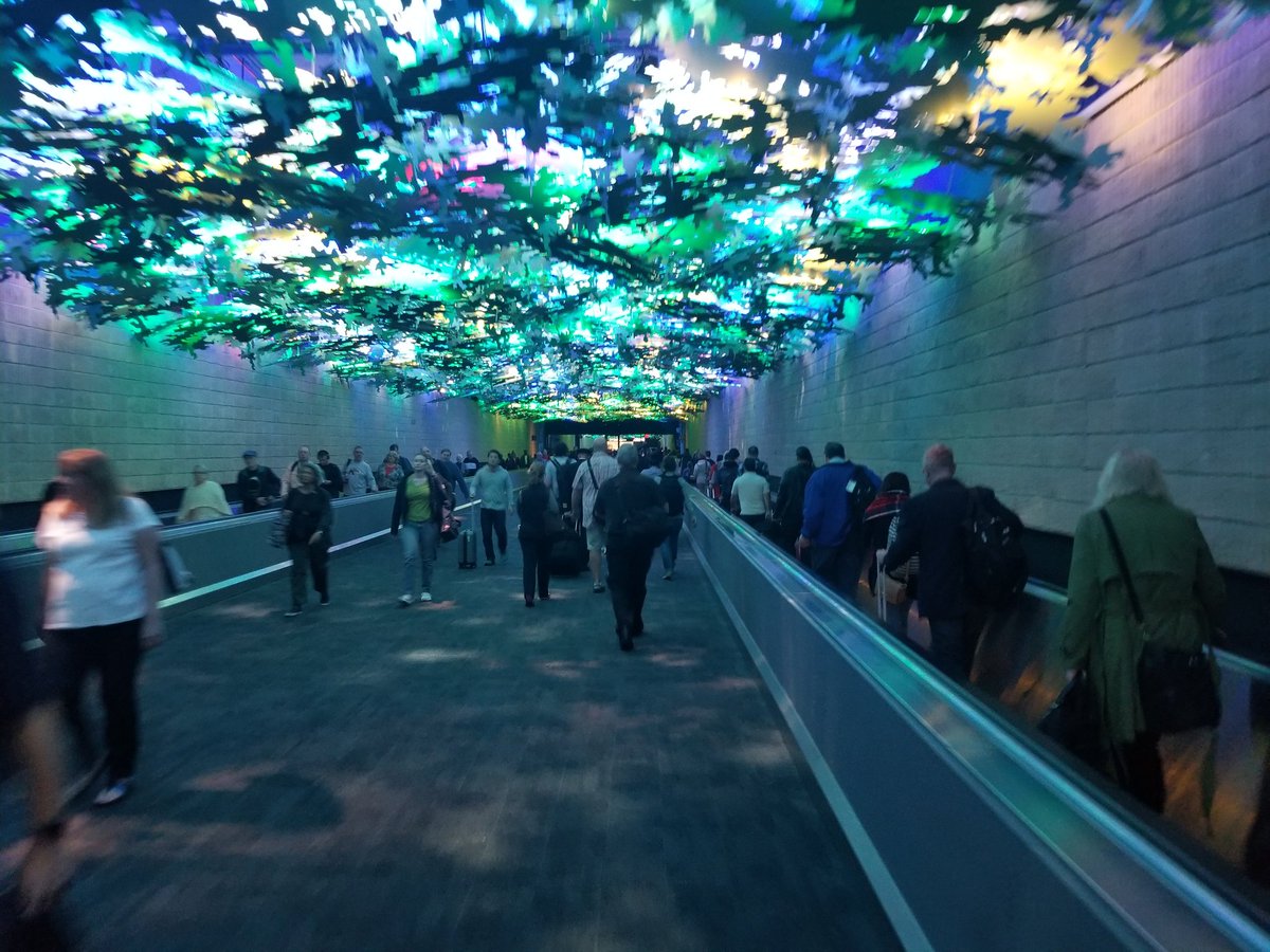 KashlanRamsey's tweet photo. The plane train isn't running and every one is walking to their gates. It's insane. @FOX5Atlanta https://t.co/hQcIART1Uc