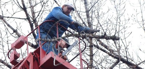 WindowStoreColo's tweet photo. Reduce the chance of broken windows in your home!
Trim back trees near the house!
#ColoradoSprings #Denver #Pueblo #Castlerock #brokenwindows #damagedwindows https://t.co/TTzkdW4BS5