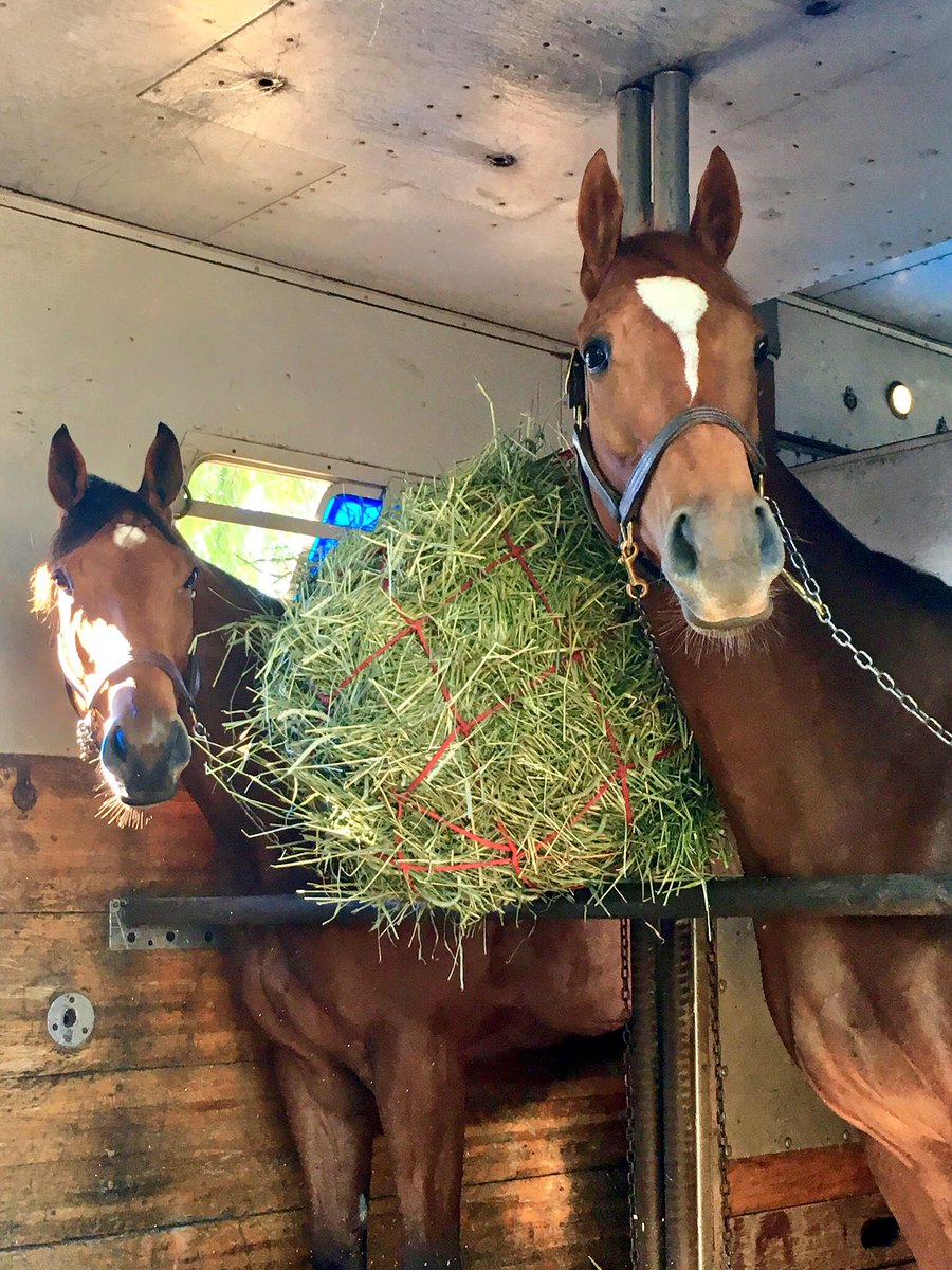 BritneyEurton's tweet photo. These two ladies will be not only facing off against each other, but a loaded group in today’s G2 Bayakoa at @losalracing! #ChampagneRoom #PacificWind https://t.co/3yY8MzuSDL