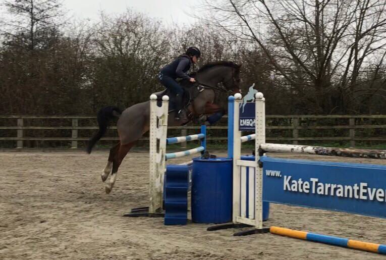 Littleton Manor EQ