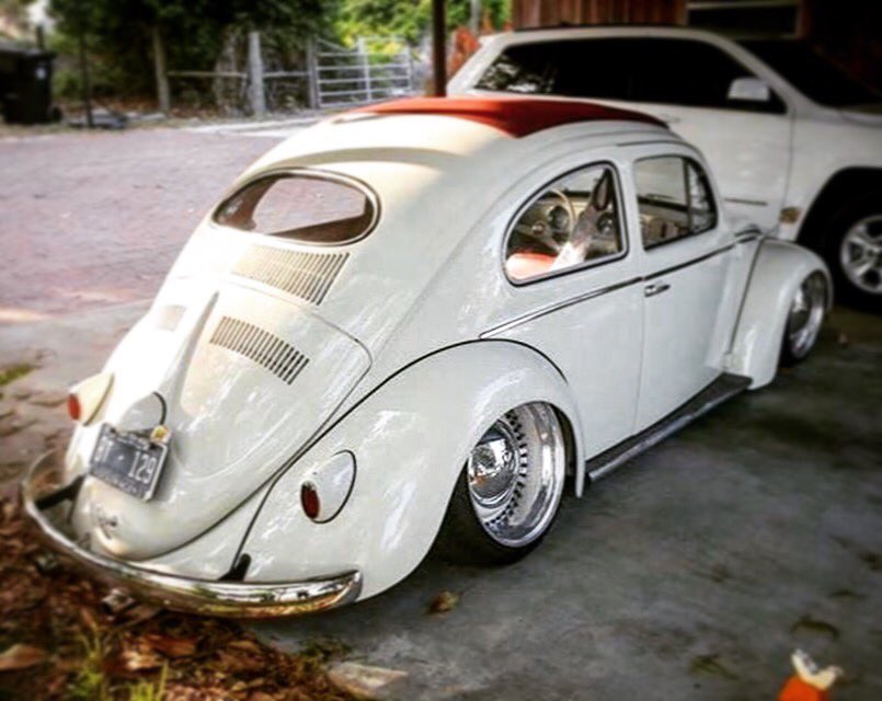 thevdubhub's tweet photo. #Käfer #Kugelporsche #Vocho #Fusca #Coccinelle #Σκαθάρ #Σκαραβαίος #Maggiolino #Kuplavolkkari #Kodok #Garbus #Brouk #Carocha #Escarabajo #חיפושית #Косτенурка #عقروقة #Boble #Bug #Beetle #Boblen #Kombi #VWbus #VintageVW #fusquinha #kombicorujinha #corujinha https://t.co/VFvkOHR7cA