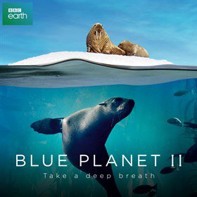 ergofilms's tweet photo. Amazed - and pleased - to see that @BBC #BluePlanet2 used a DJI Phantom 3 to shoot the amazing aerial footage of sea lions hunting tuna... https://t.co/42tQo2n7a5