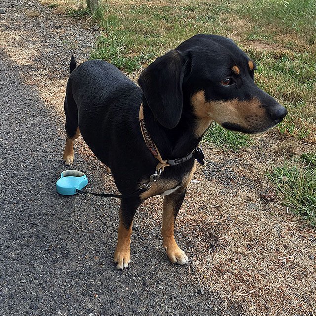 CPIprint tweet media