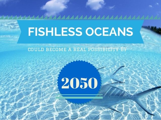 letfishlive's tweet photo. Do you want to see empty #oceans in your lifetime? #overfishing #govegan #emptyoceans https://t.co/f4PMFeu47R