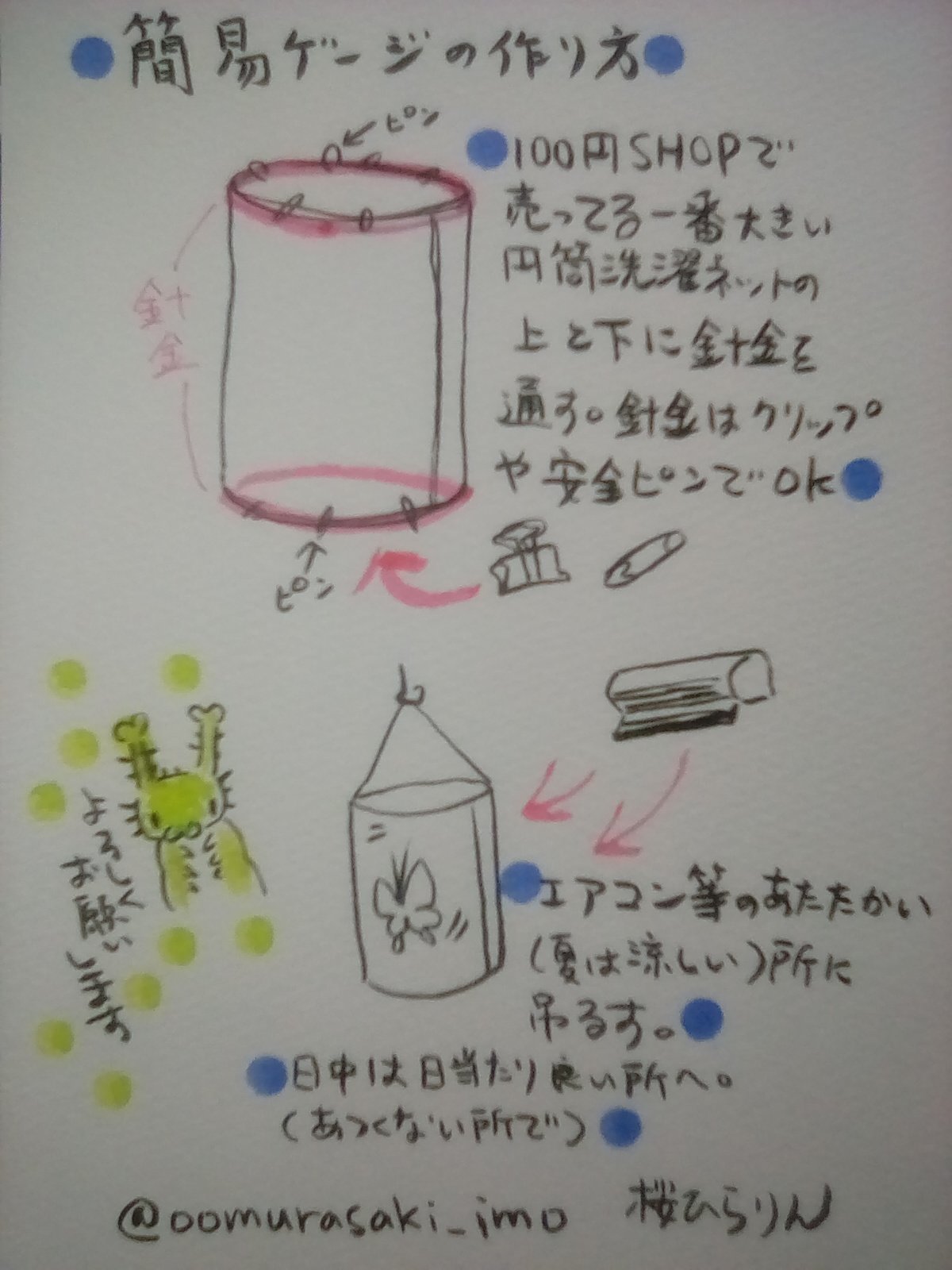 オオムラサキイモイモ 蝶などを室内飼育する場合の簡易ゲージの作り方です 円筒の洗濯ネットを使います 針金はクリップや安全ピンでとめます T Co Blgwl4skau Twitter