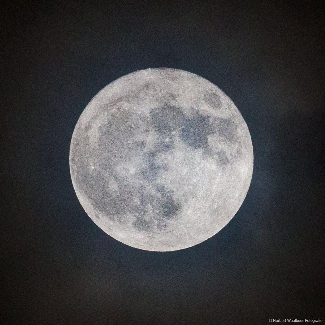 fotostudio236's tweet photo. Vannacht 3 december kun je de enige volle #supermaan van dit jaar zien. Ga dat zien! https://t.co/qbdgv4ROjv