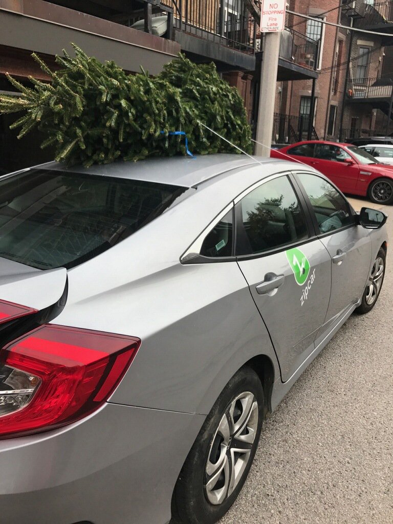 dmeixner's tweet photo. Christmas time in Boston thanks to @zipcarne and @bostonxmastrees #TreeHaulin https://t.co/5xxJPeMPdQ