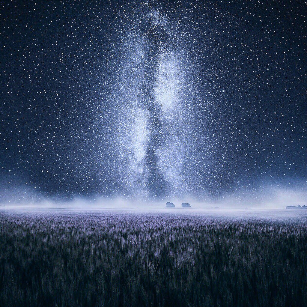 PicPublic's tweet photo. Good night https://t.co/LB4ADGNiuQ
