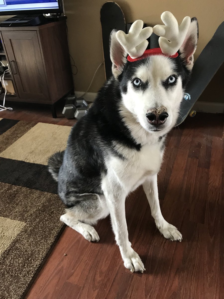 ChopperFach tweet media