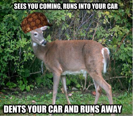 CollWrksYukon's tweet photo. Deer don't carry liability insurance. #hitandrun #deerhit #wecanhelp
 
https://t.co/jipwdjMKAn https://t.co/pjhyq01IBK