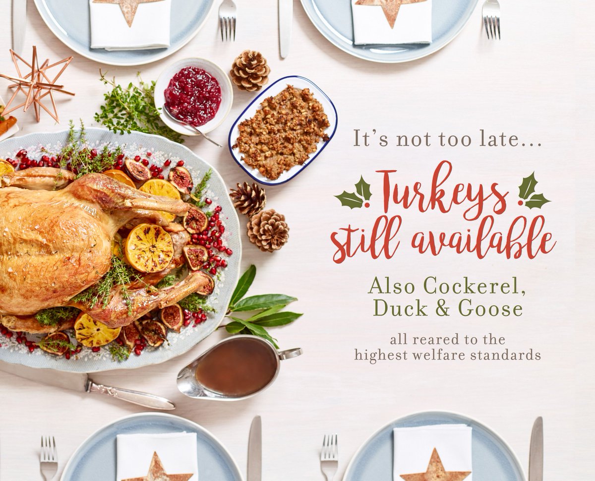 SpringfieldOrg's tweet photo. It's not too late to get your #FreeRange Christmas Turkey!! 
https://t.co/QIHSVBF2aD https://t.co/oXsByfRwNU