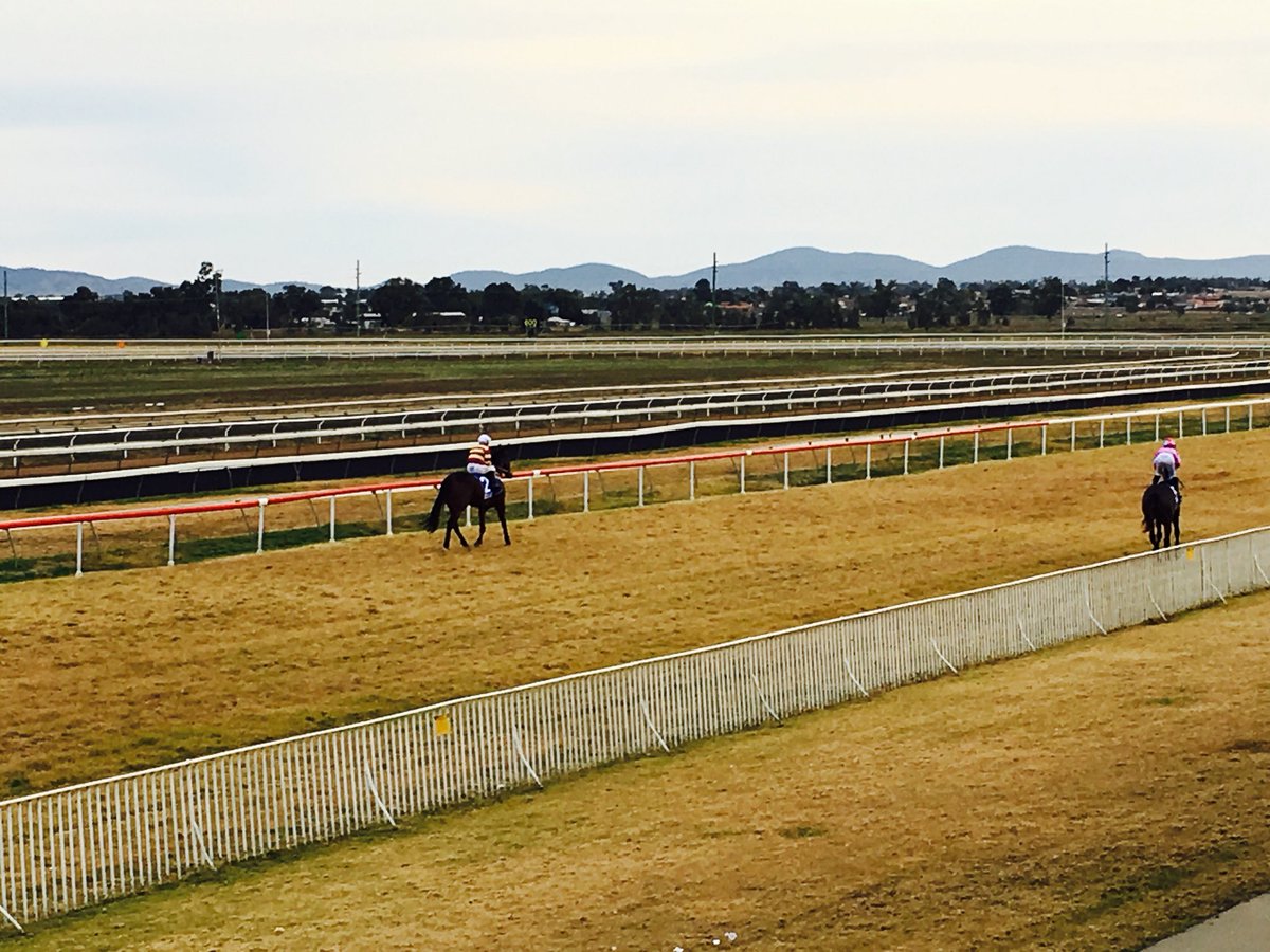 CRWAE2's tweet photo. THE EDGE returns today at Tamworth after a short break. It’s an 8 race card and we will be looking to kick off December with a BANG💥
Simply go to the Facebook page to receive all of the analysis for “FREE”. Full preview will be up shortly. https://t.co/xNzbVVBruC